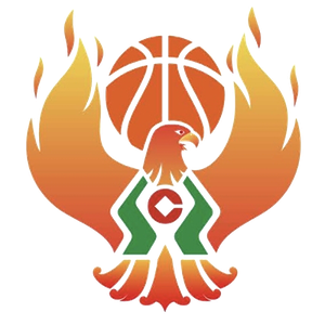 https://img.jyhyjz.com/img/basketball/team/09b49d34027e0409a4de3295f8c71a2d.png