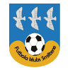 https://img.jyhyjz.com/img/football/team/259a1106a33b56d2bb3c458a62ffa2ea.png